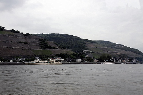 geis (114)